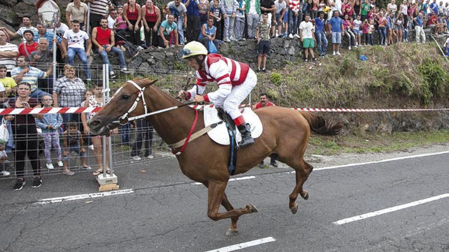 Una carrera de caballos en Tenerife, similar a la que quiere participar el jeque.