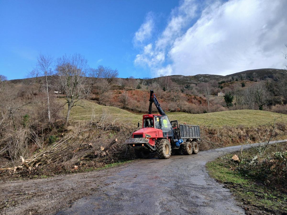 Máquinas trabajando en la carretera de la Collada de Arniciu