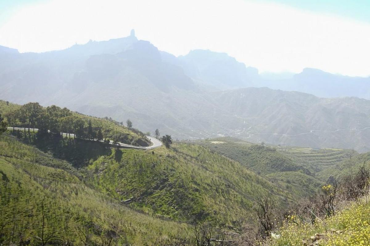 Calima en Gran Canaria (22-02-2019). Tejeda Calima en Gran Canaria (22-02-2019). Tejeda