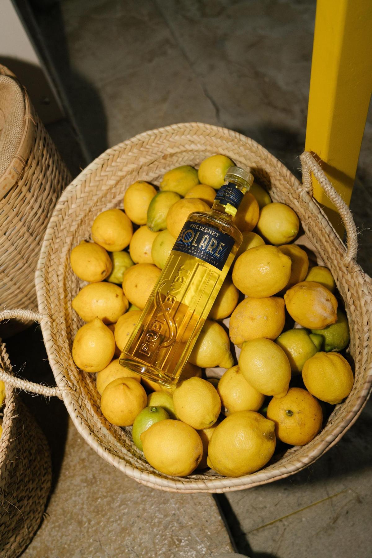 Freixenet Solare