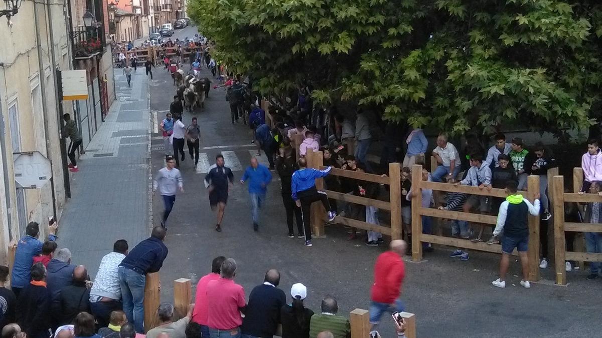 Foto de archivo de un encierro urbano en Toro, Zamora.