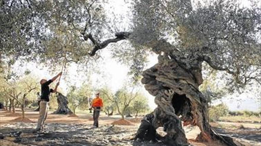 Les Useres y Canet lo Roig, citas para el fin de semana