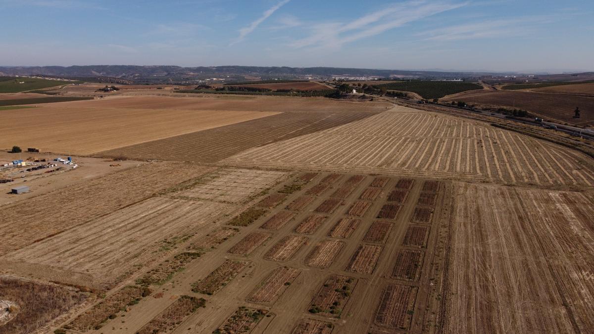 Terrenos en los que se construirá la base logística.