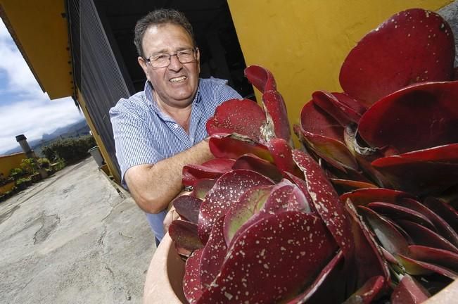 REPORTAJE BODEGA LA MONTAÑA