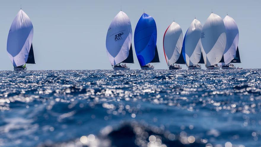 Tercer incidente con orcas de un barco de la Copa de Rey de vela