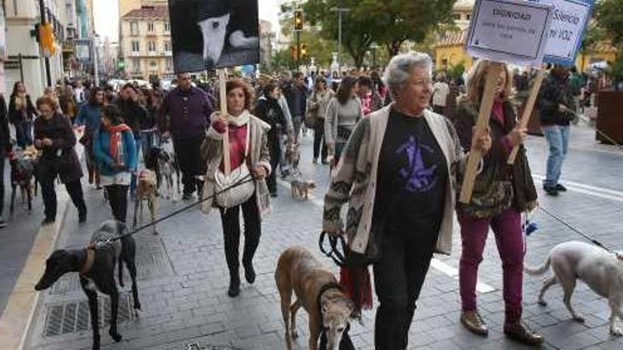 Manifestación contra el maltrato de los perros de caza