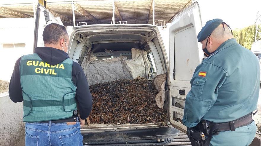 La Guardia Civil investiga a 27 personas en una semana por robos de aceituna en el sur de la provincia