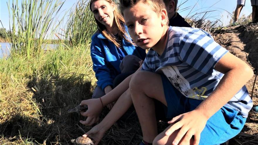 L&#039; Oceanogràfic suelta 10 galápagos en l&#039; Albufera