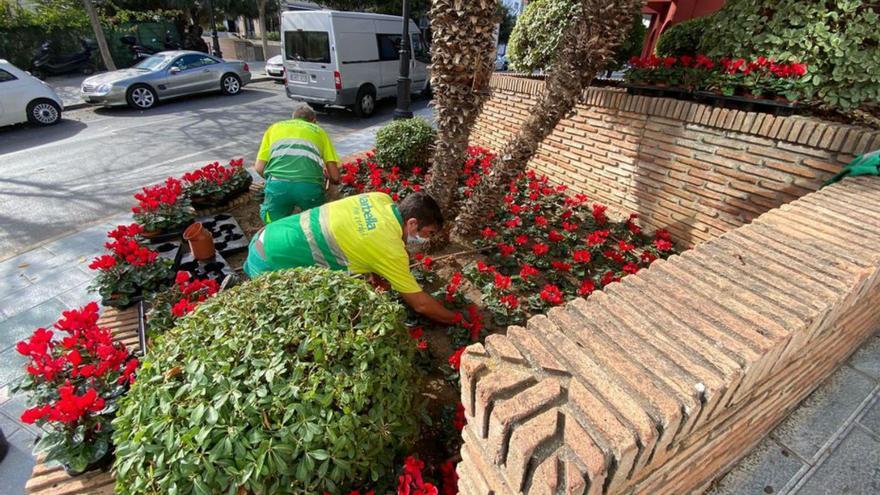 Operarios municipales plantan los ejemplares de flores. | L. O.