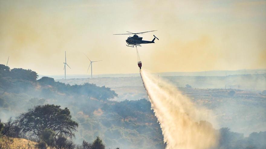 Fotogalería | Imágenes del incendio forestal en Plasencia de