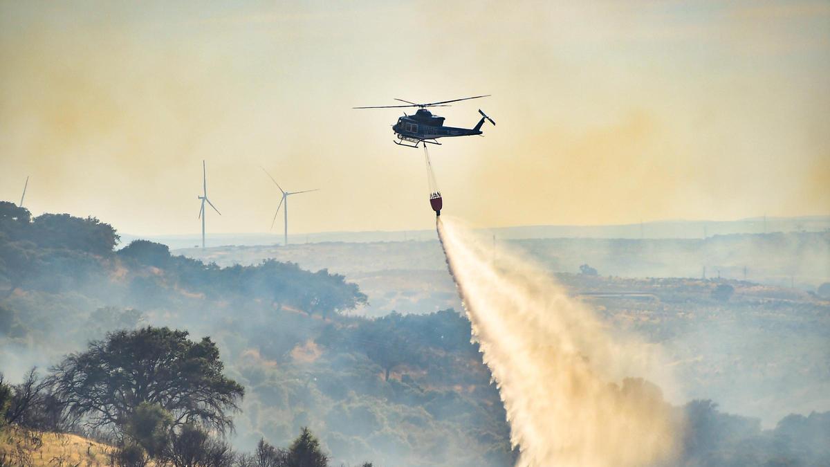 Fotogalería | Imágenes del incendio forestal en Plasencia de este jueves