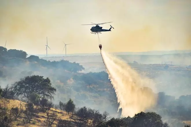 Fotogalería | Imágenes del incendio forestal en Plasencia de este jueves
