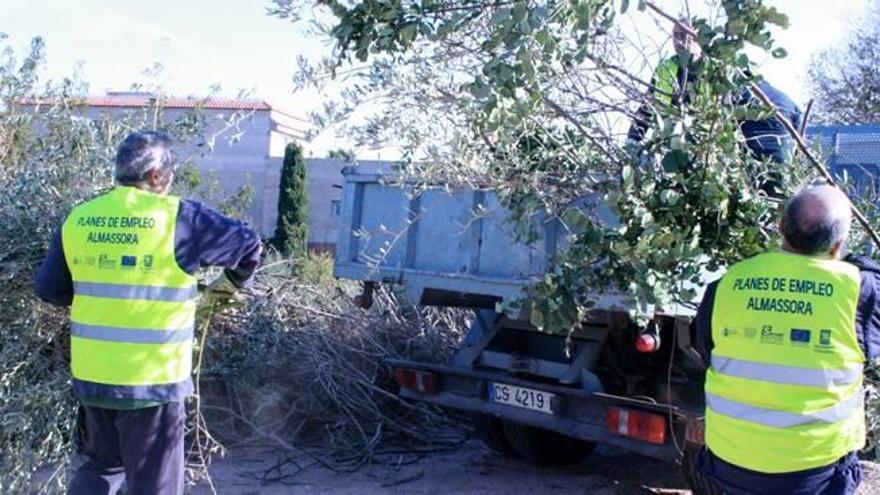 Almassora llena 10 camionetas tras limpiar el cauce del Barranquet