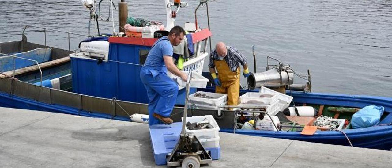 Marineros de un buque descargando ayer capturas en Portonovo. |   // RAFA VÁZQUEZ