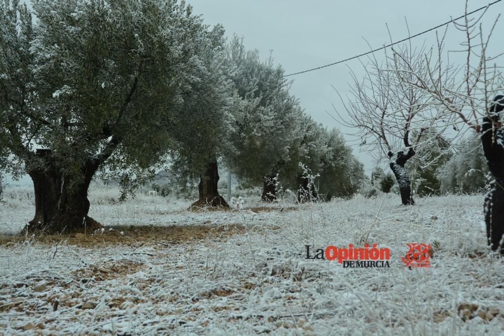 Nieve en el Altiplano murciano