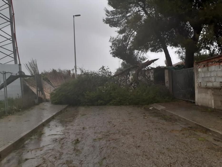 Efectos del temporal en la Safor