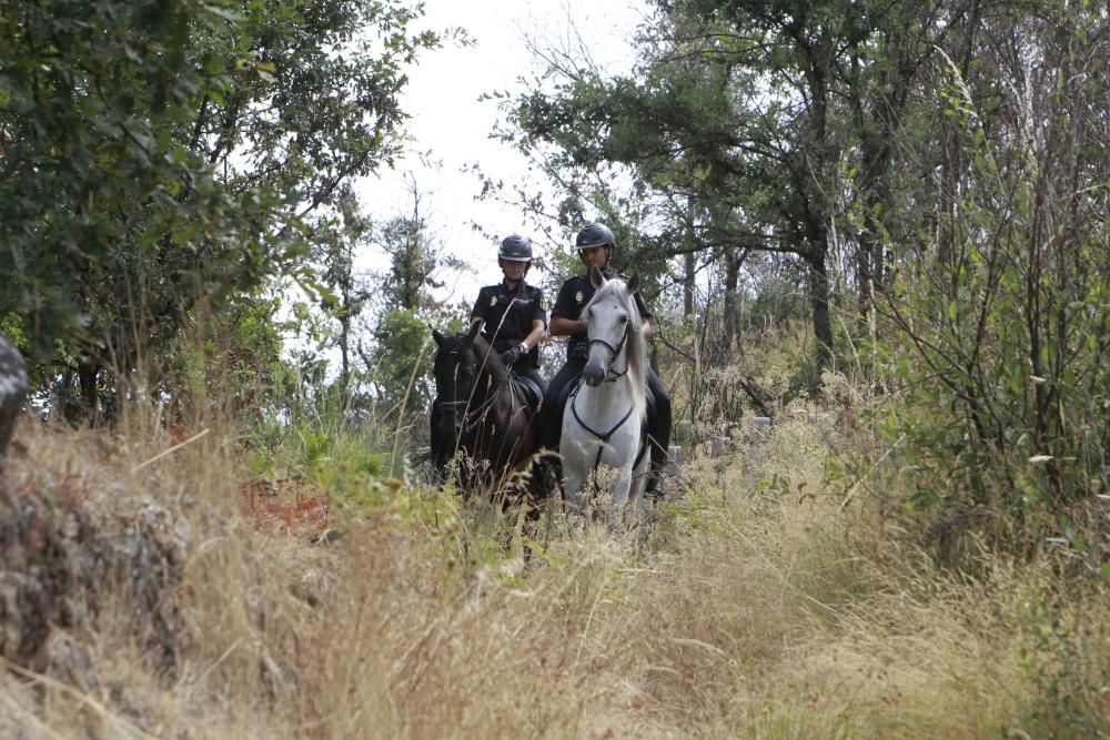 Vigilancia a caballo contra el fuego