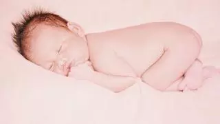 La humanidad desaparecería en un siglo si se detuvieran los nacimientos