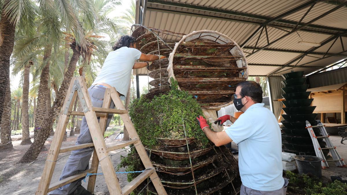 La intervención dura diez días y se está realizando en las instalaciones del Hort de la Molinera.