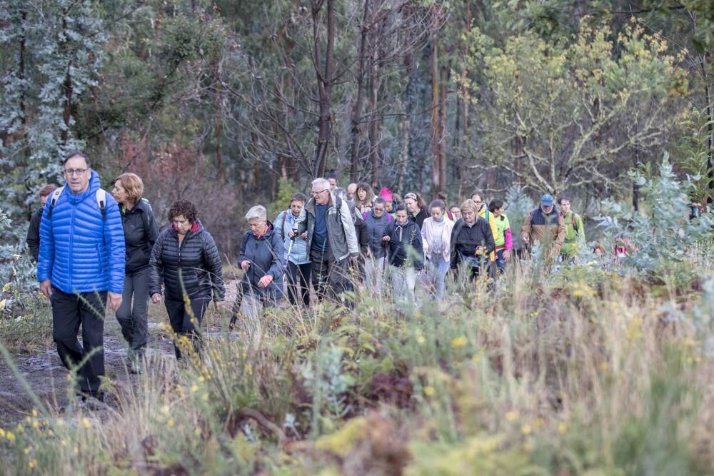 Más de medio millar de personas se citaron esta mañana en Coruxo para recorrer la zona quemada en octubre de 2017.