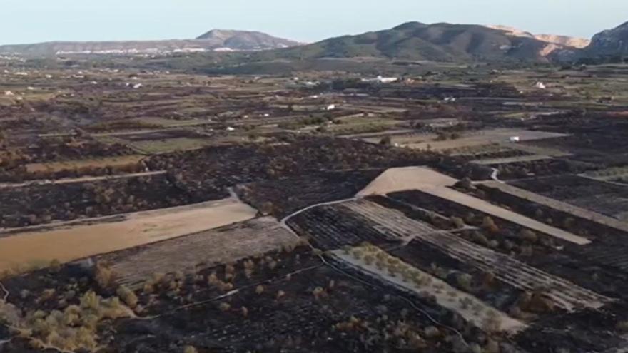 Los estragos del incendio del valle del Montgó, desde el aire