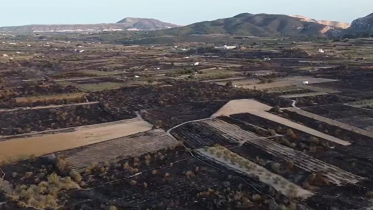 Los estragos del incendio del valle del Montgó