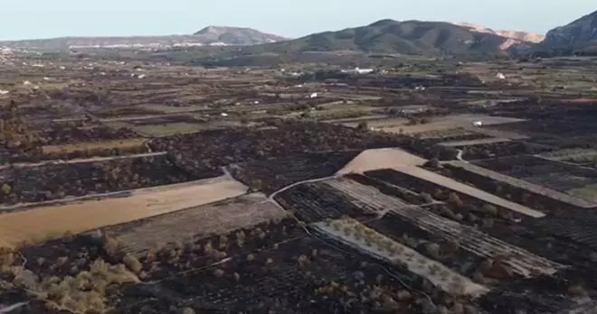 Los estragos del incendio del valle del Montgó, desde el aire