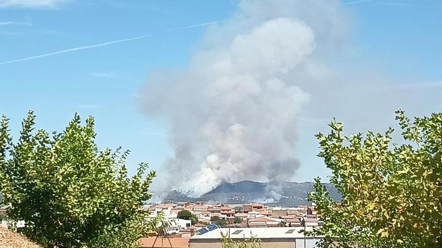 Fotogalería | Las imágenes del incendio en Las Navas, en Herrera del Duque