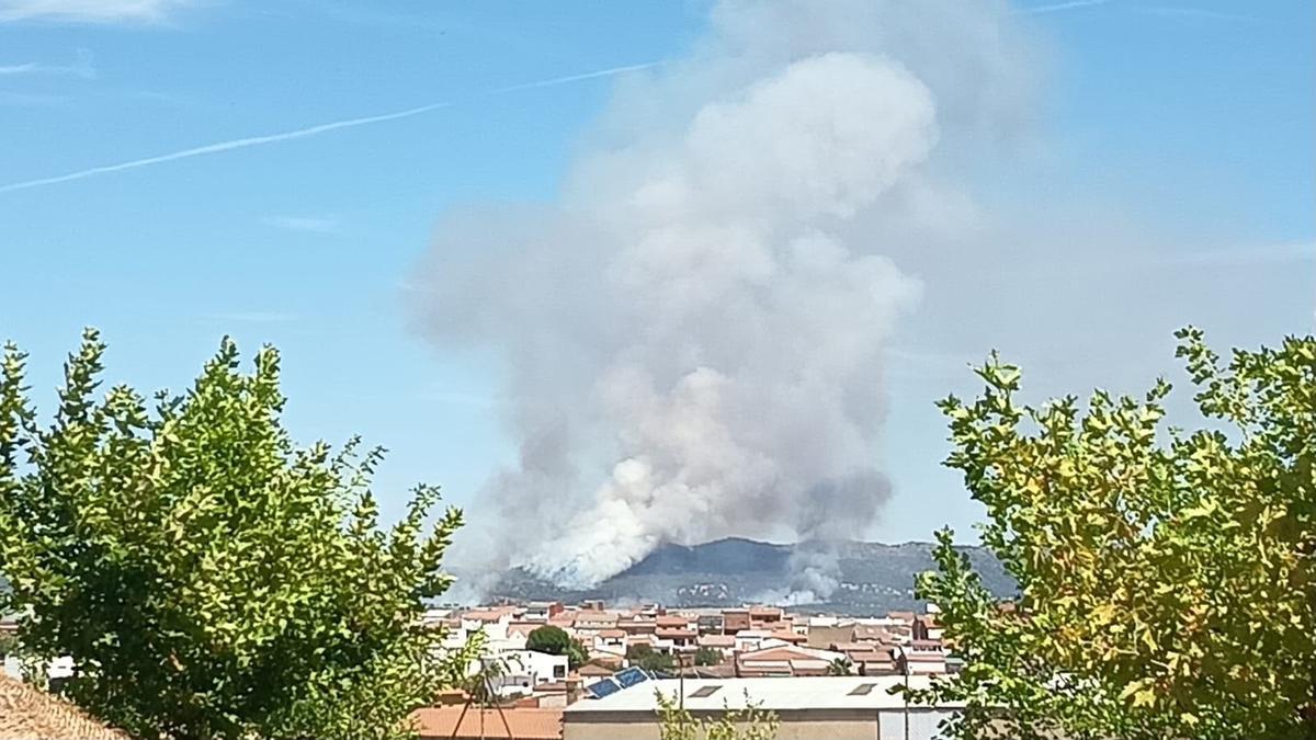 Fotogalería | Las imágenes del incendio en Las Navas, en Herrera del Duque