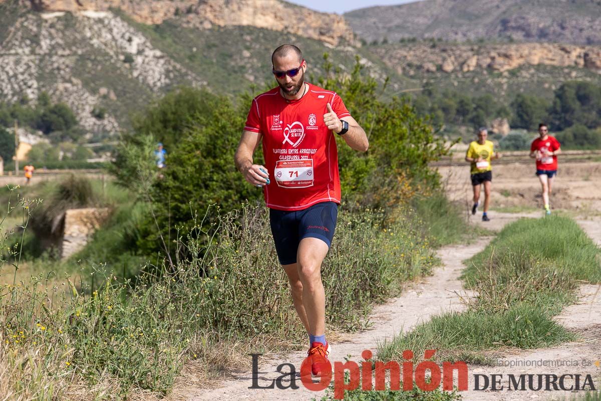 Carrera 'Entre arrozales' en Calasparra (carrera)