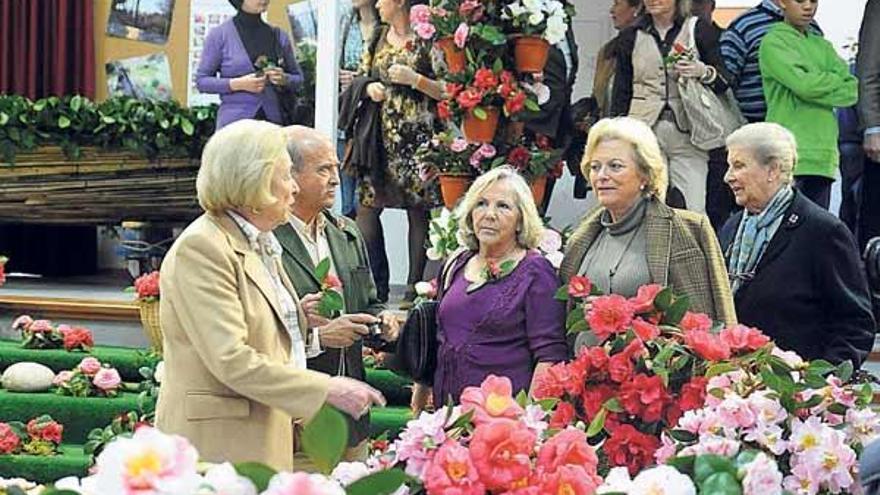 Numeroso público asistió a la feria exposición de la camelia.  // Iñaki Abella