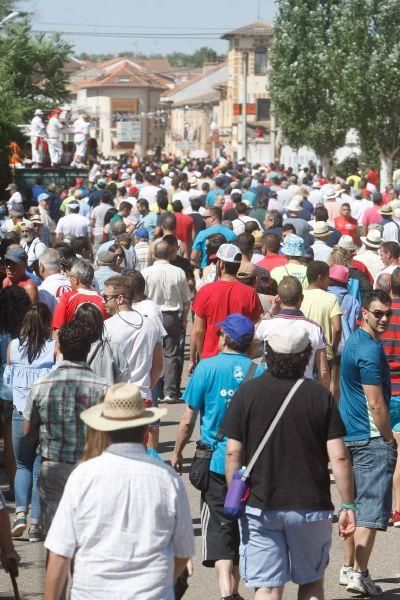 Fiestas en Zamora: Segudos espantes de Fuentesaúco