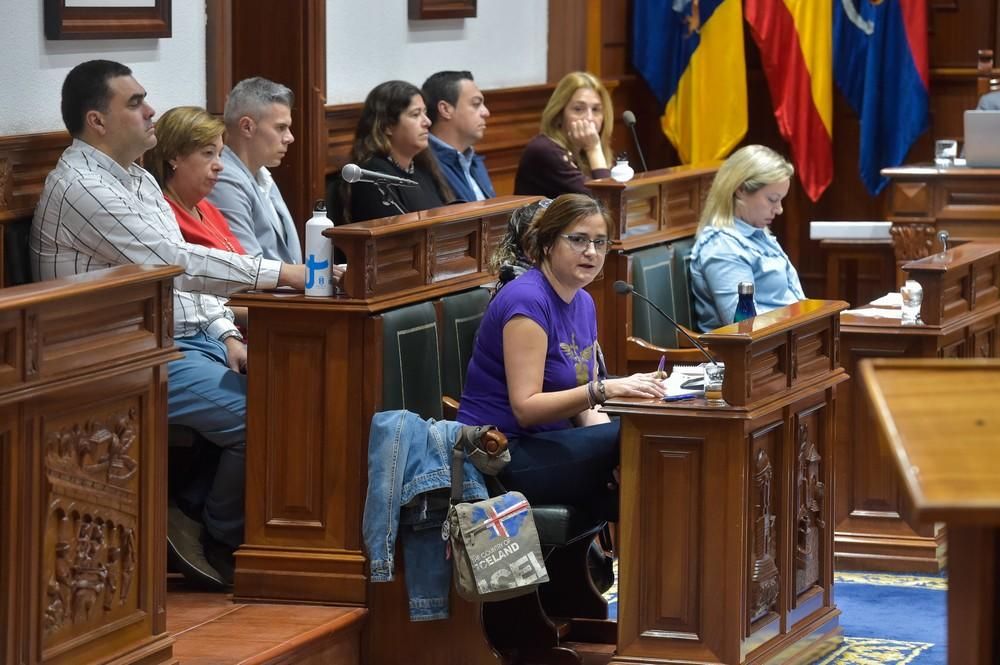 Pleno del Ayuntamiento de Telde