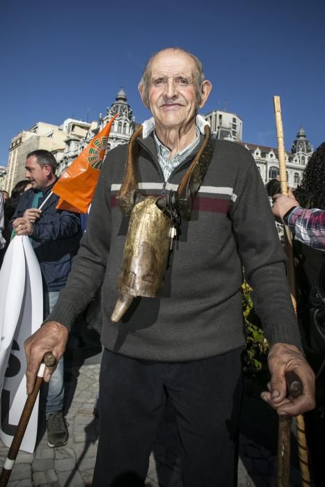 El campo asturiano llena Oviedo con su clamor de cencerros