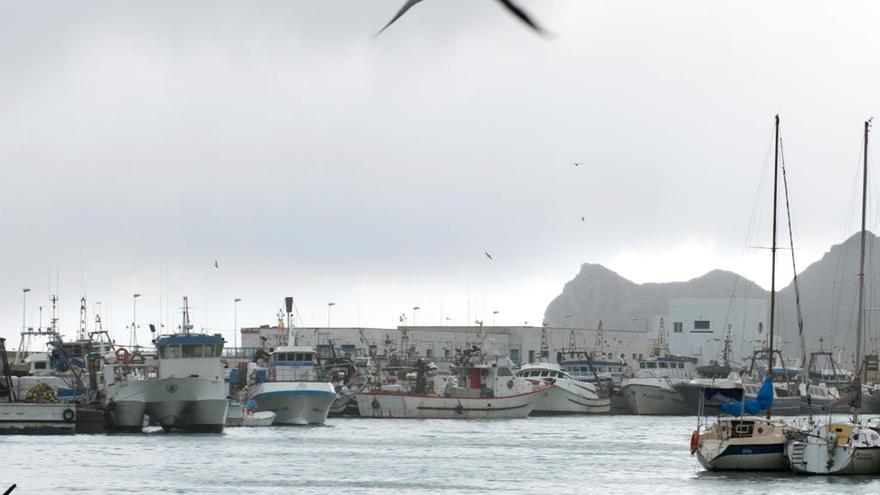 Flota pesquera de Altea amarrada por el temporal