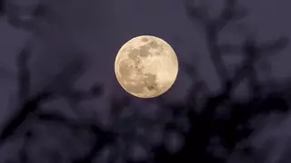Lluvias de estrellas y superlunas: cuándo disfrutar de un cielo (aún) más espectacular en Galicia