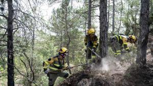 INCENDIO FORESTAL CEROLLERA INFOAR JULIO 2026
