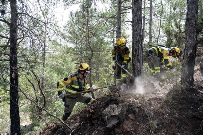 Aragón lucha contra los incendios con un ejército’ de 700 personas y 50 vehículos