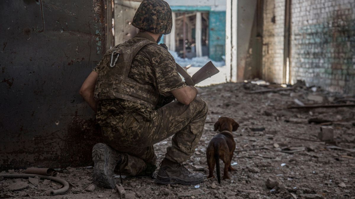 Un soldado del ejército ucraniano.