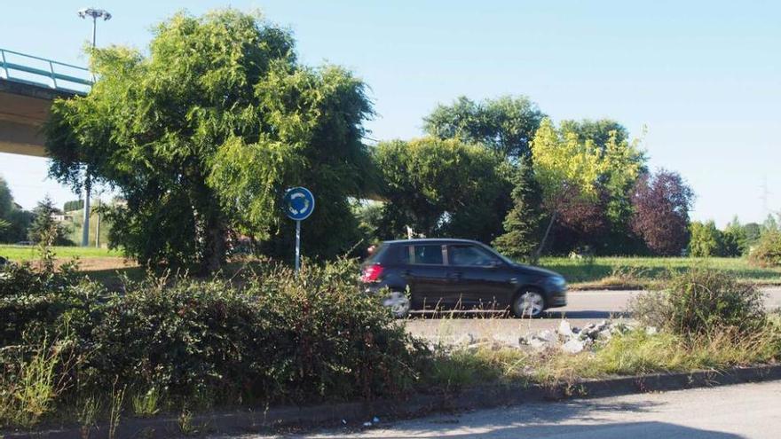 Principado y ayuntamientos, desbordados por la maleza que invade las carreteras