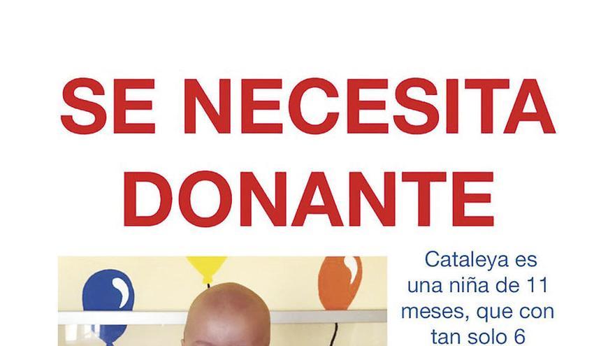 Sanidad rechaza las campañas solidarias de donantes: &quot;Son innecesarias y costosas&quot;