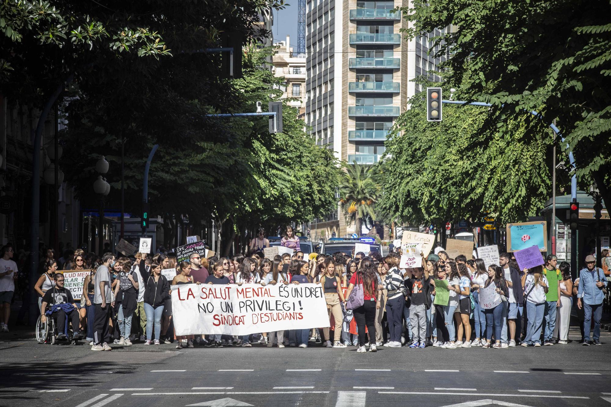 Estudiantes de Alicante reclamar más medios para la salud mental a Sanidad