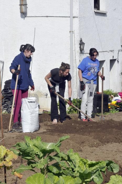 Curso de agricultura ecológica en Langreo