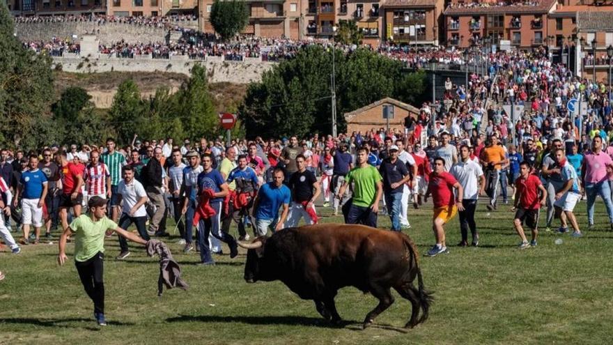 Un herido en el encierro del Toro de la Vega en Tordesillas