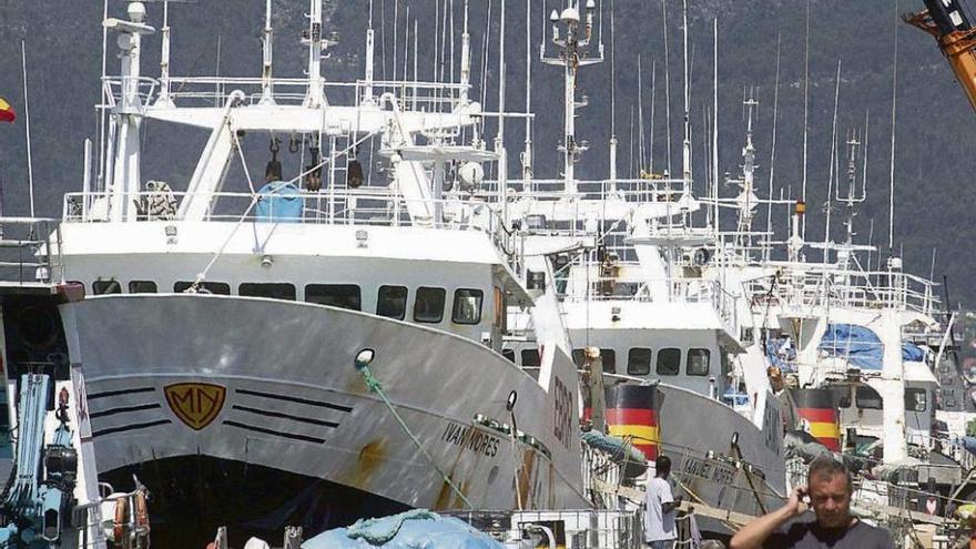 Barcos cefalopoderos atracados en el Puerto de Marín. // Santos Álvarez