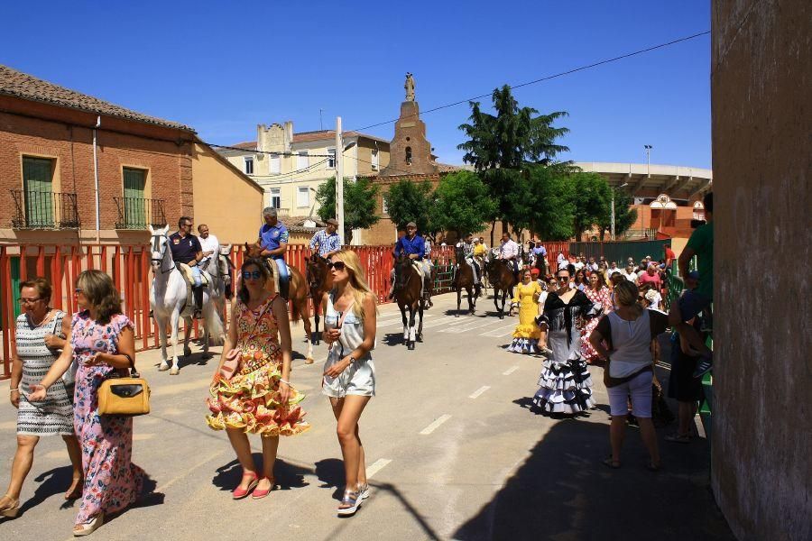 Feria del caballo en Fuentesaúco