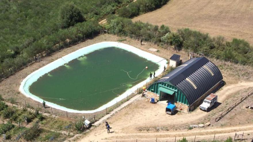 Fallece un senegalés al caer a una balsa de agua en Grandas de Salime