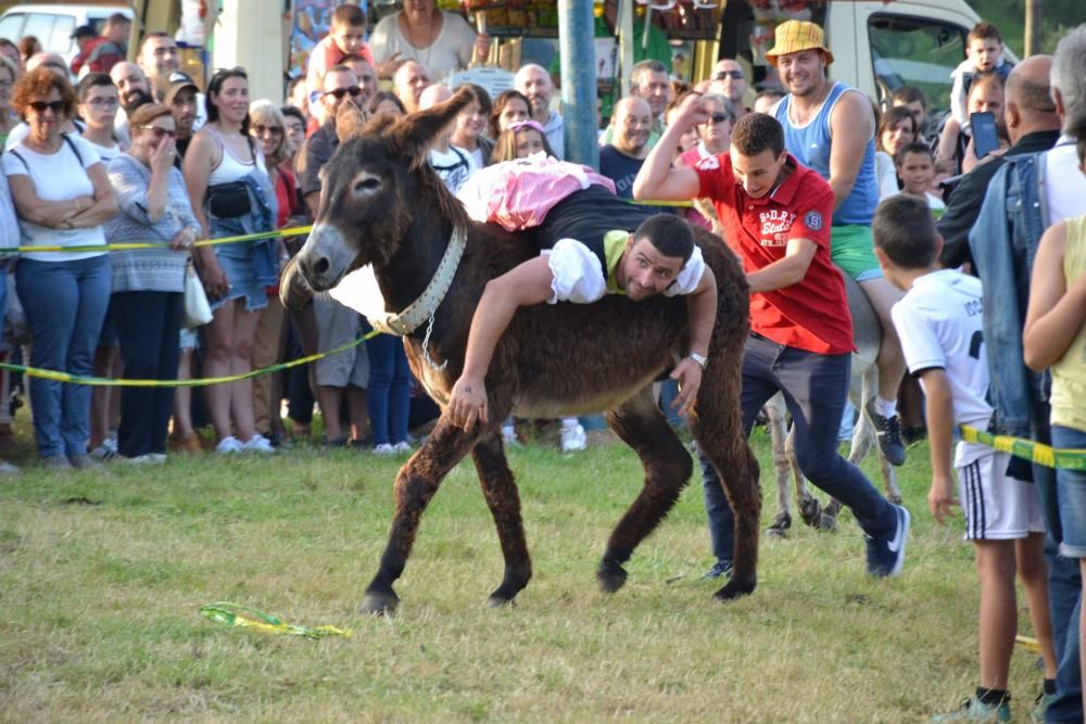 Carrera de burros en Pañeda