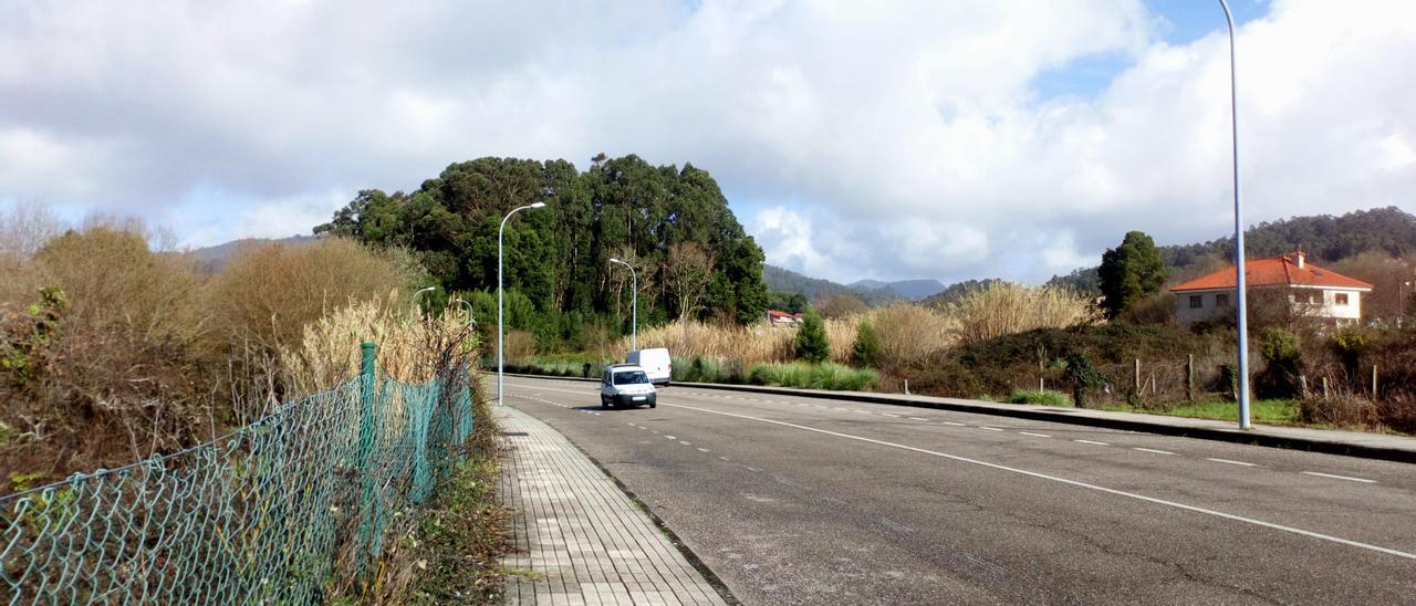 Terrenos de A Rúa, en el margen derecho de acceso a la Autovía do Morrazo.