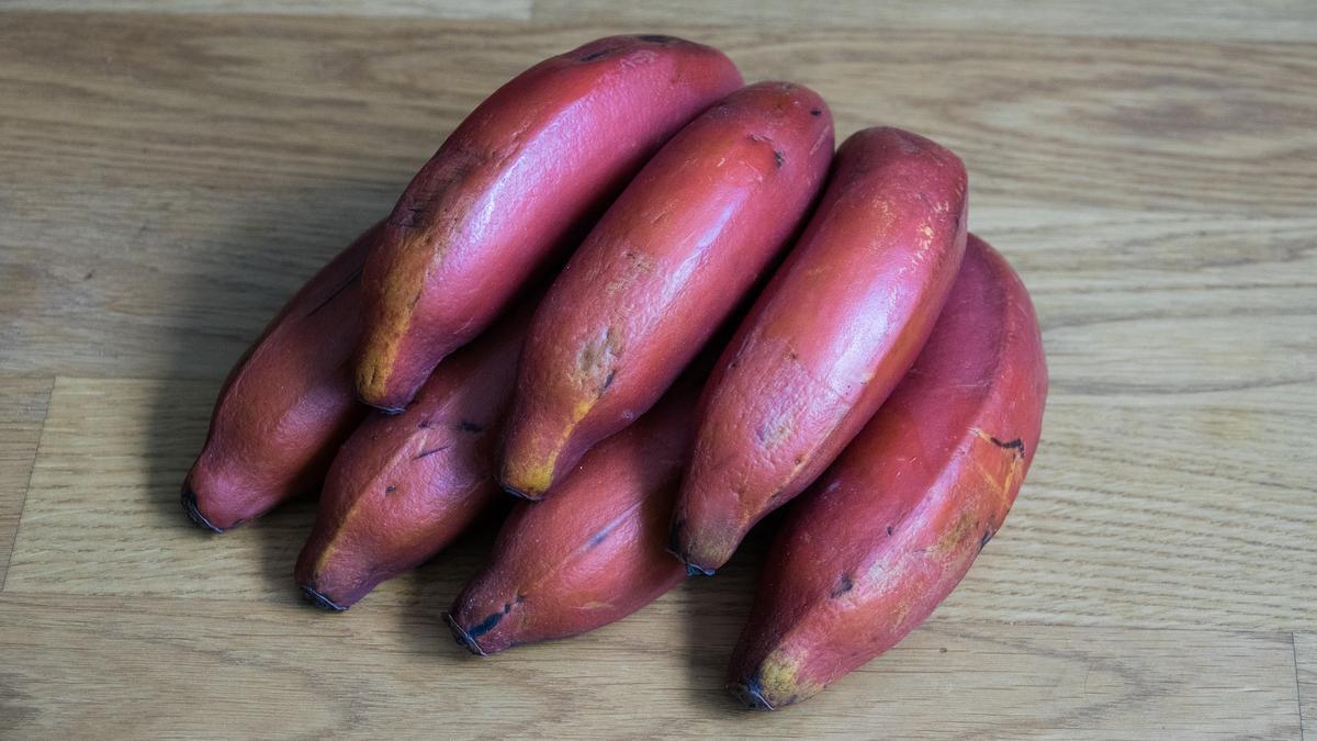Una banana vermella